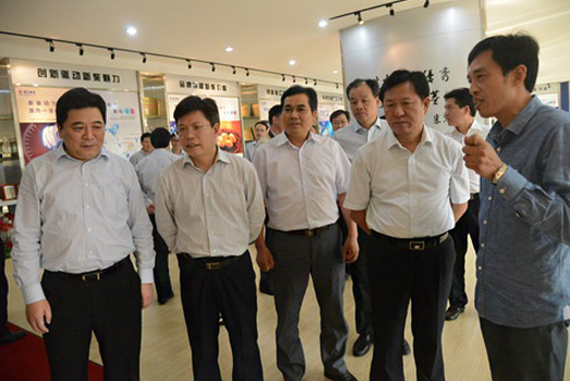 Zhejiang eyaletinin vali yardımcısı Mao Guanglie, XINCHAI için bir araştırma yaptı